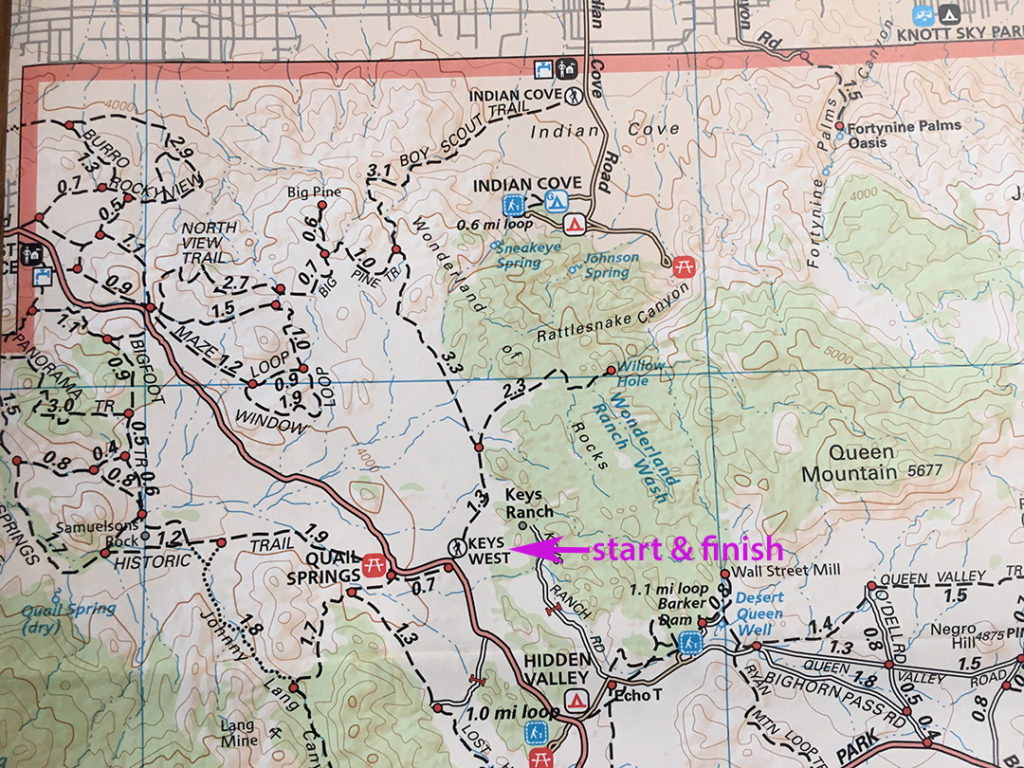 joshua tree backpacking loop